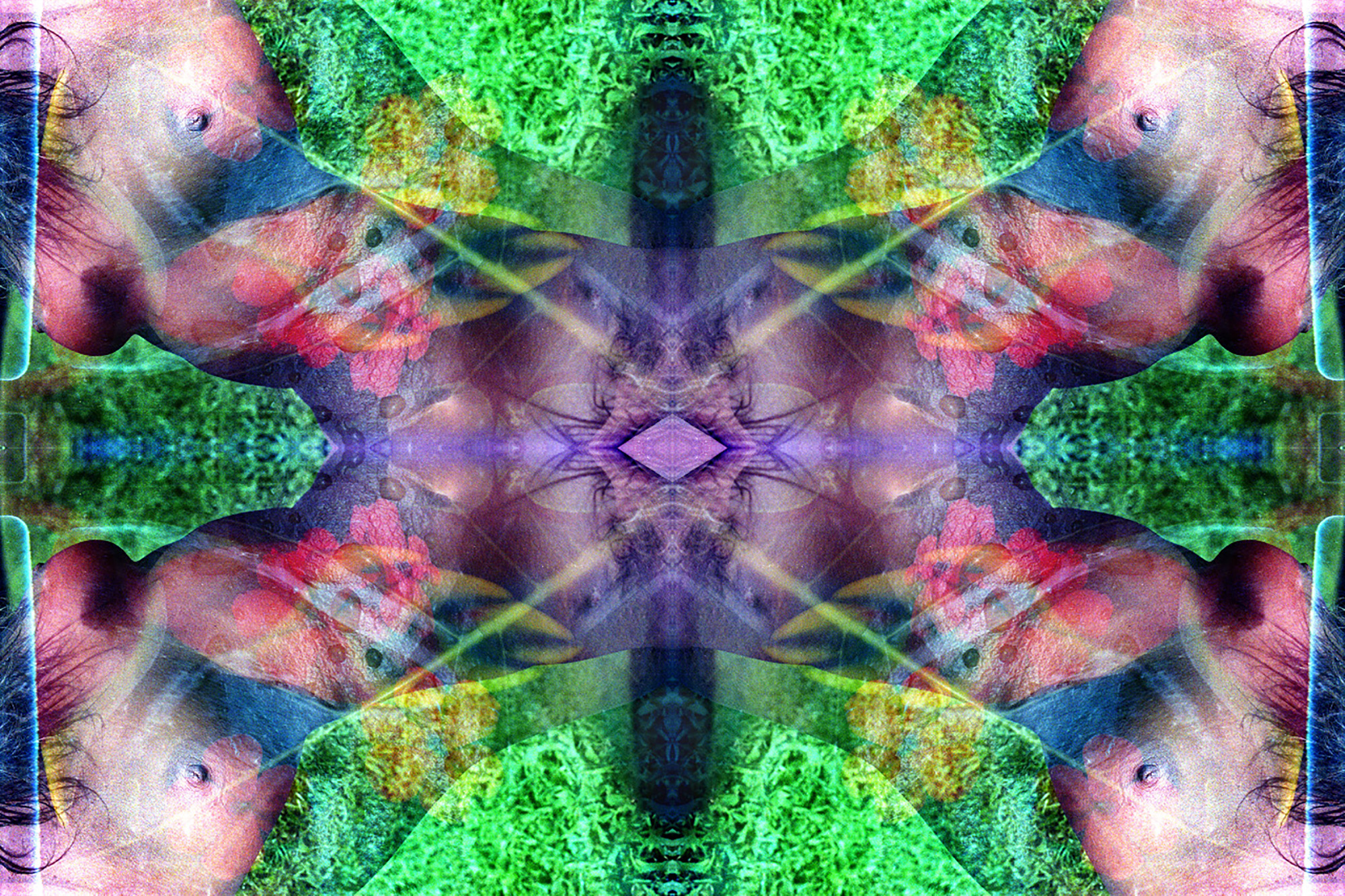 Quandra Loka MCV 36599 Transcendental Realism